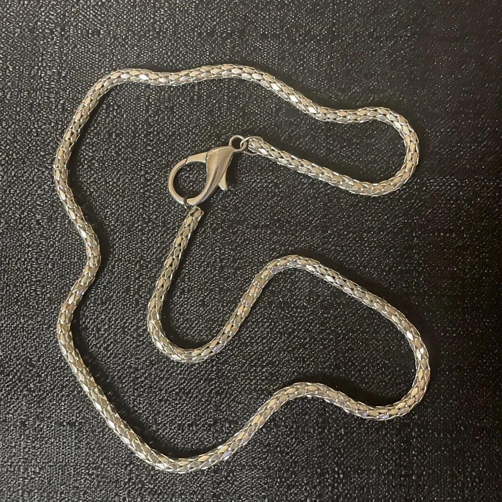 Scale Chain 24” + 1” Silver Costume Jewelry